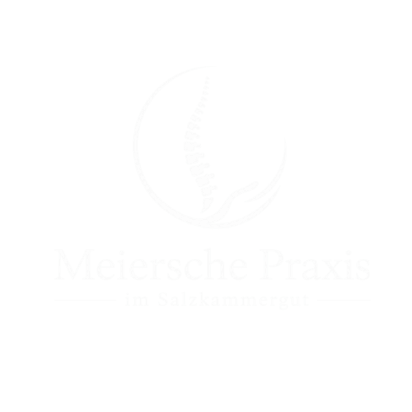 Partner Logo 3